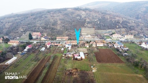 Paulis, Arad