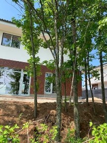 Bucuresti - Ilfov, Corbeanca