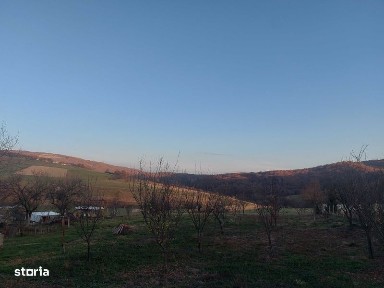 Fasca, Varciorog, Bihor