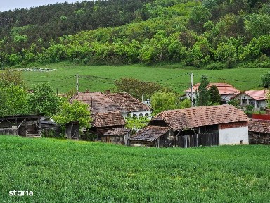 Grebenisu De Campie, Mures