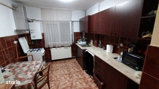 Subcentral, Satu Mare