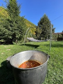 Alba, Ocolis
