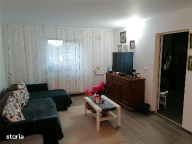 Sanmihaiu Roman, Timis