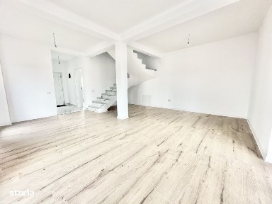 Mosnita Veche, Mosnita Noua, Timis