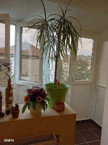 Circumvalatiunii, Timisoara, Timis