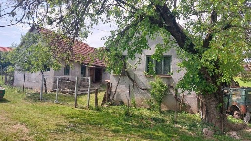 Arad, Nadas