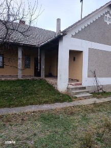 Andrid, Satu Mare