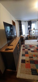 Bucuresti - Ilfov, Snagov