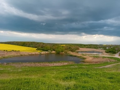 Bucuresti - Ilfov, Bragadiru