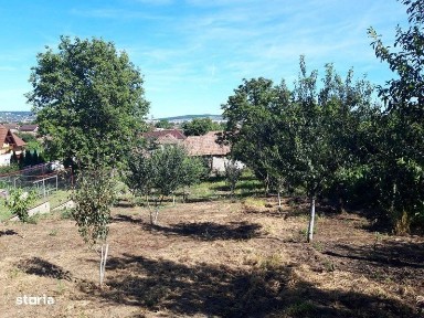 Casa de vanzare cu livada in curte - Sancrai de Mures - 16.8 ar