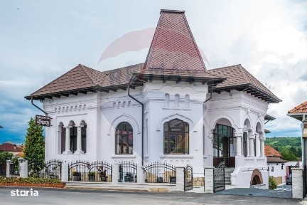 Proprietate speciala, doua vile de patrimoniu restaurate integral