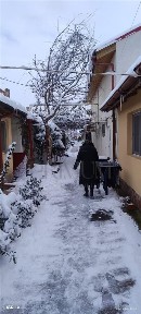 Iosefin, Timisoara, Timis