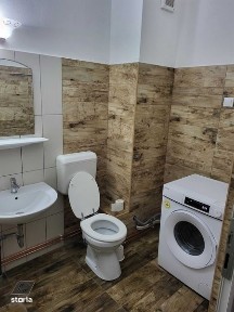 Subcentral, Satu Mare