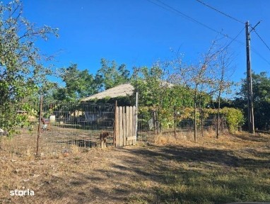Casa si teren-Com Tamadau Mare, jud. Calarasi