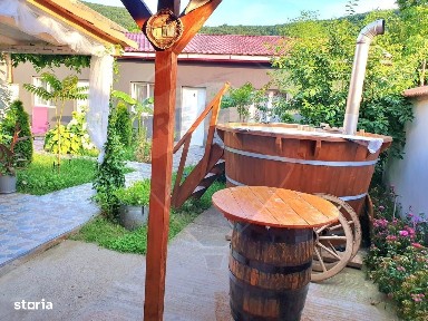 Berzasca, Caras-Severin