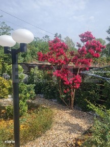 Casa P+1E, 4 dormitoare, teren 590 mp, zona Leamna de Jos