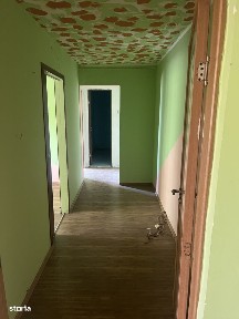 Alexandria, Teleorman