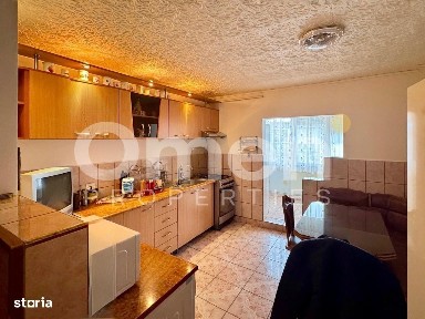 Vasile Alecsandri, Baia Mare, Maramures