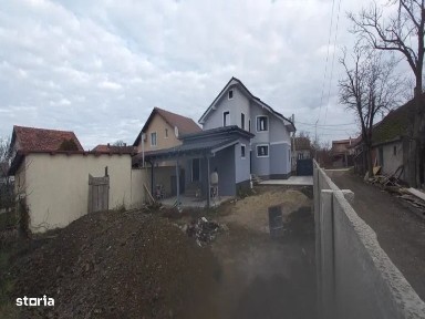 Sanmihaiu Roman, Timis