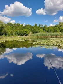 Bucuresti - Ilfov, Bucuresti, Sectorul 1