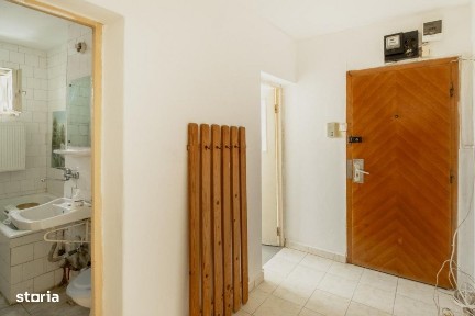 Strada Martir Marius Ciopec, Calea Girocului, Timisoara, Timis