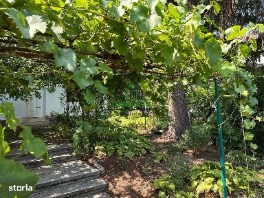 Aleea Rozelor, Ramnicu Valcea, Valcea