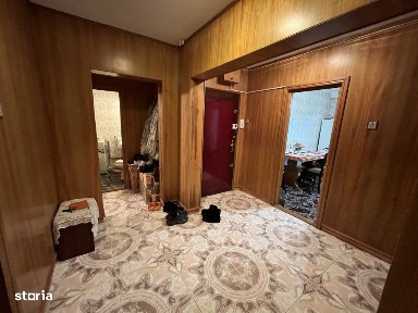 Delfinariu, Constanta