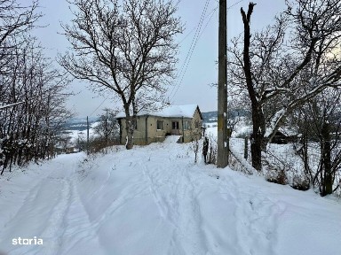 Mica, Cluj