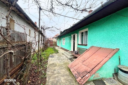 Sangeorgiu De Mures, Mures