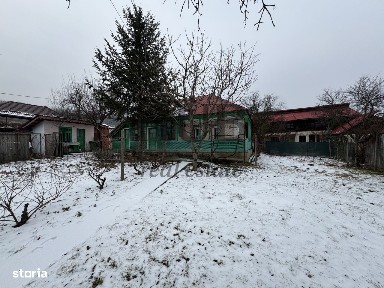 Strada Crizantemelor, Bacau