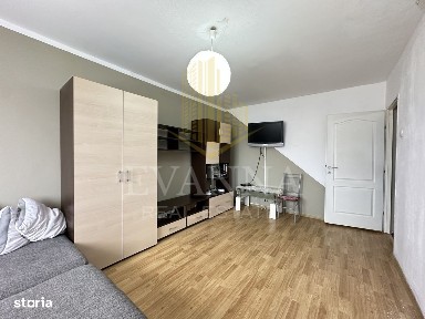 Vasile Alecsandri, Baia Mare, Maramures