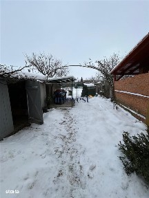 Bercu Rosu, Satu Mare