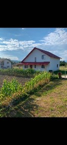 Arges, Curtea de Arges