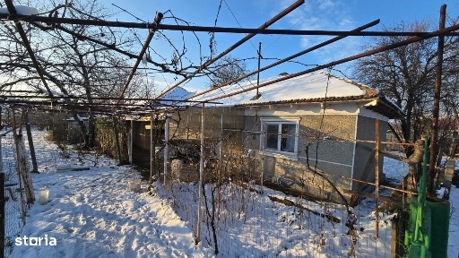 Poarta Alba, Constanta