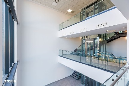 Strada 1 Decembrie, Stadion, Timisoara, Timis