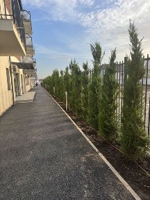 Bucuresti - Ilfov, Balotesti