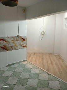 Subcentral, Satu Mare