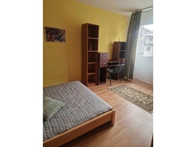 Cetate, Timisoara, Timis