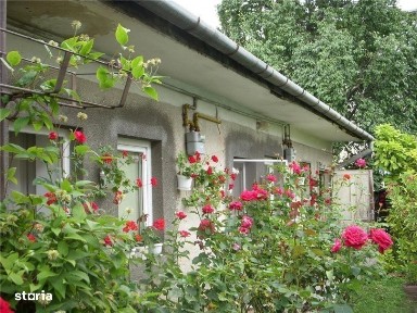 Casa de vanzare, zona semicentrala Abator, Parcul Feroviarilor, teren