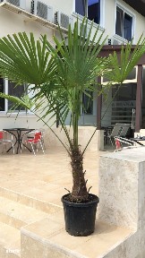 SE VINDE,VILA REGAL Mamaia''