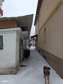 Bartolomeu Nord, Brasov