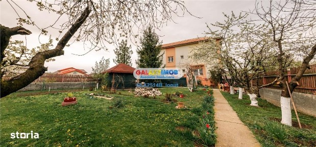 Strada Scolii, Ciorogarla, Ilfov