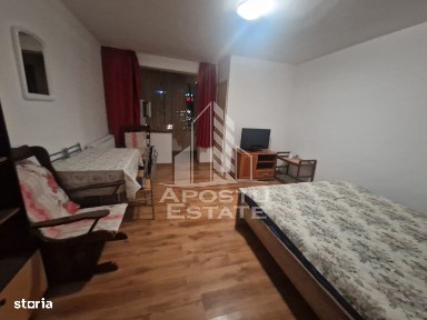 Circumvalatiunii, Timisoara, Timis