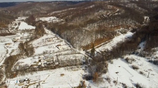Casa rustica la liziera padurii Piscul Leurzii, un colt de rai
