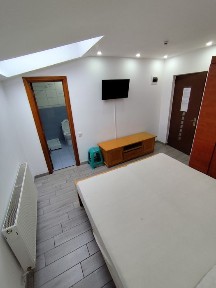 Bucuresti - Ilfov, Voluntari