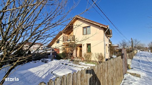 Sangeorgiu De Mures, Mures