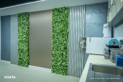 Spatiu premium: stomatologie sau beauty