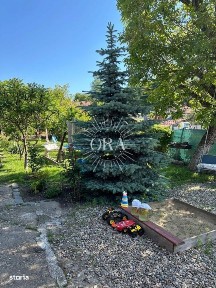 Dambul Rotund, Cluj-Napoca, Cluj