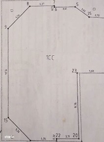 Ciocarlia, Constanta