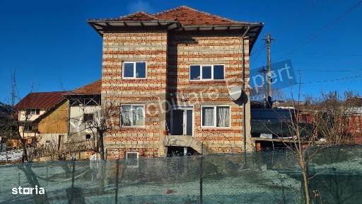 Casă + spațiu comercial + lac de pește, de vânzare ( Vernești/Arges )